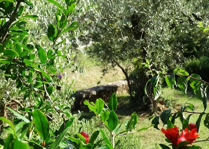 Sopta * Πόρετς